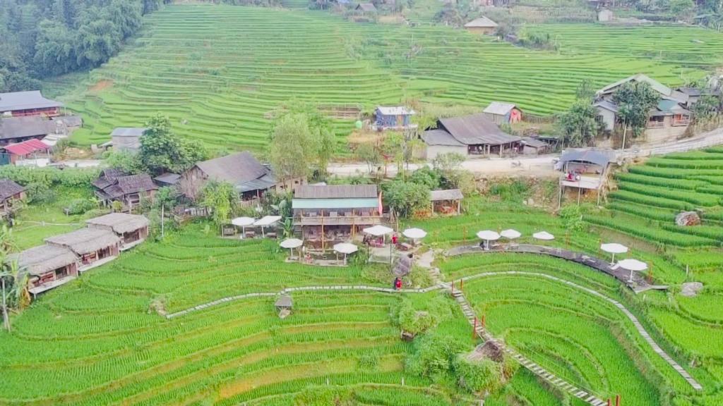 Cơmlam Eco House – Sa Pa
